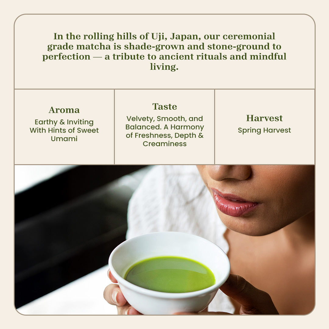 SADŌ Uji first harvest Matcha - 30g (Tin)
